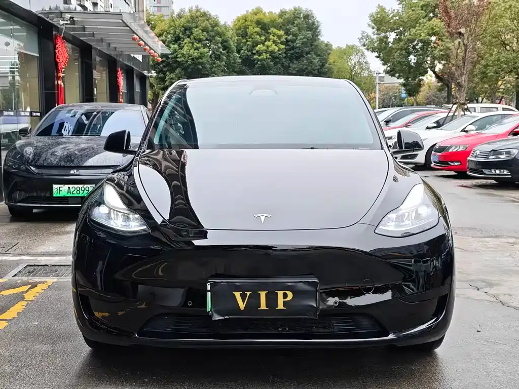 Tesla Model Y 2023 из CN, фото 3