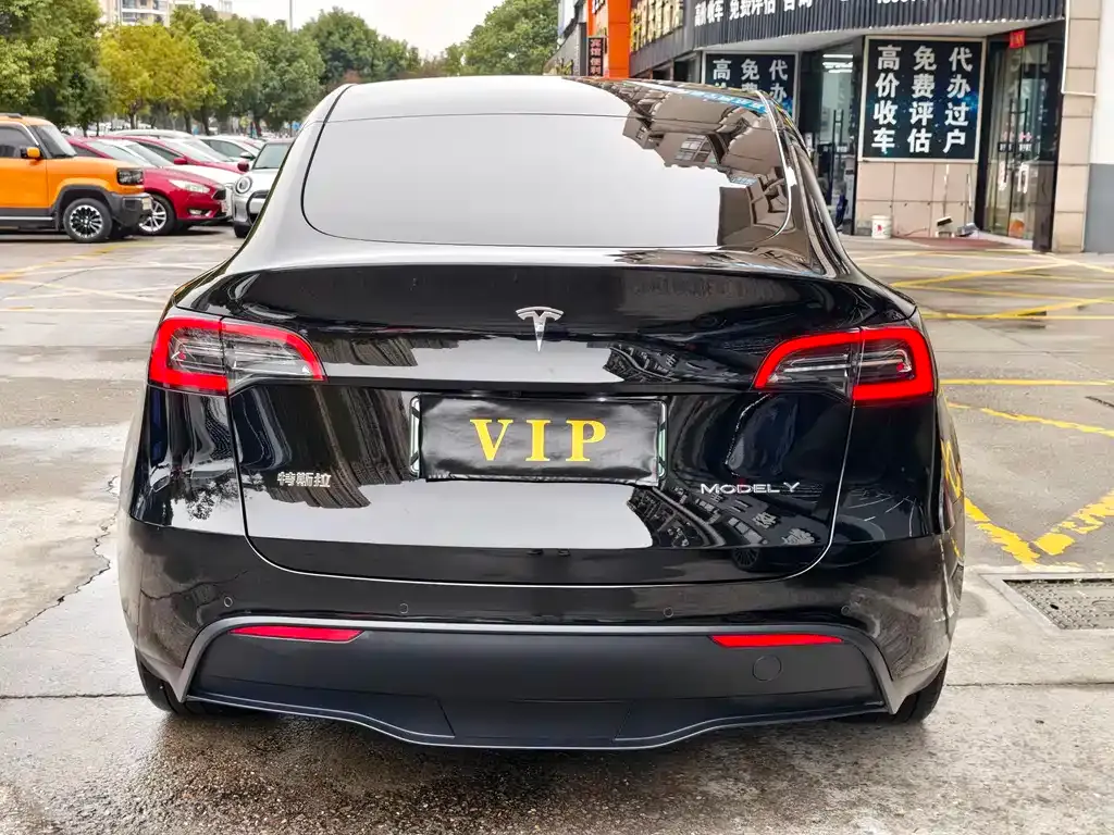 Tesla Model Y 2023 из CN, фото 7