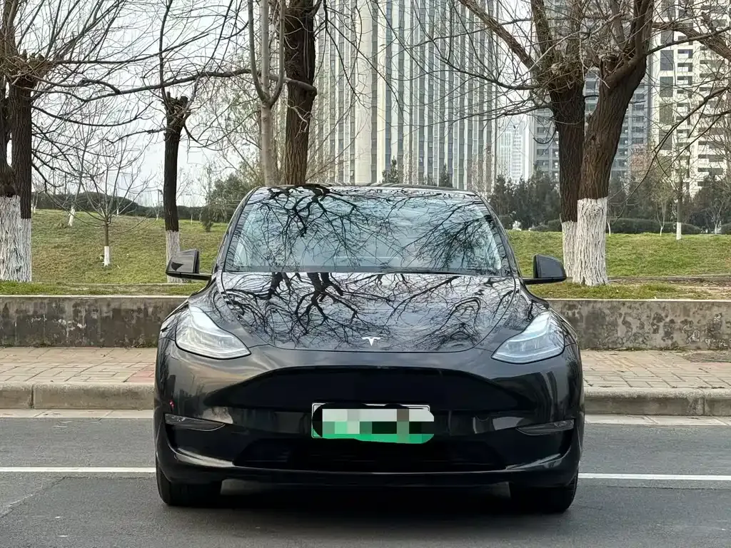 Tesla Model Y — фото 1