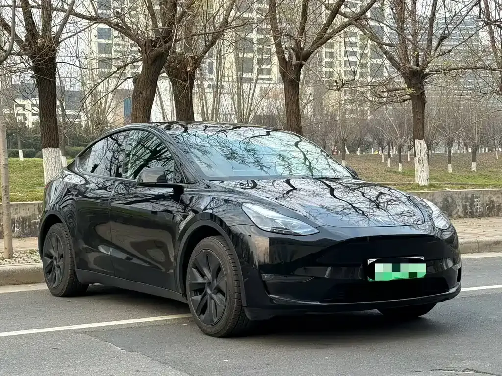 Tesla Model Y — фото 5