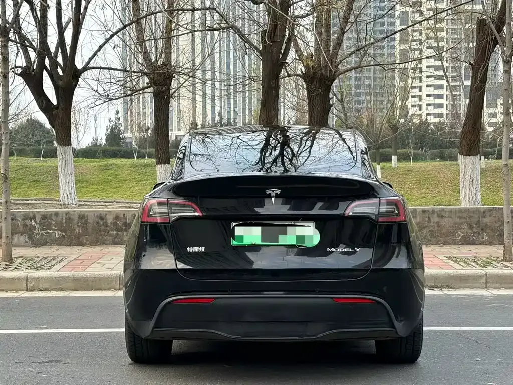 Tesla Model Y — фото 4