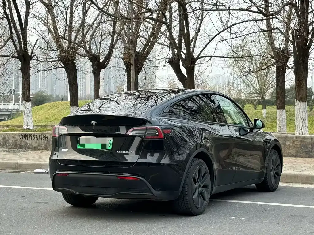 Tesla Model Y — фото 9