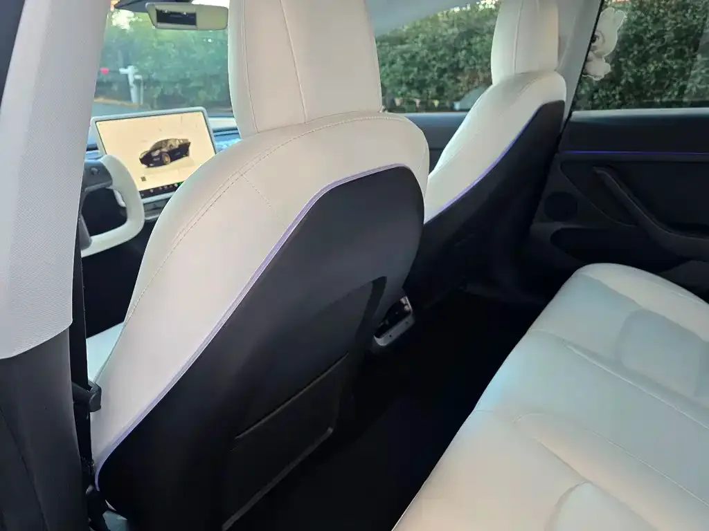 Tesla Model 3 2024 из CN, фото 4