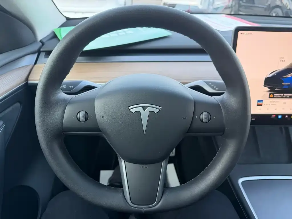 Tesla Model Y — фото 2