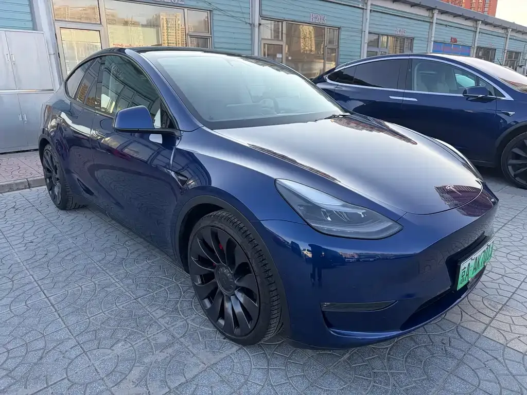 Tesla Model Y — фото 9