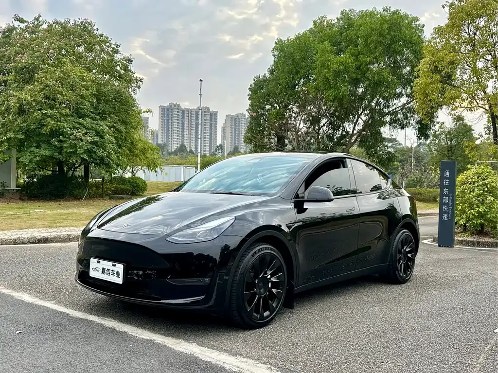 Tesla Model Y 2022 из CN, фото 1