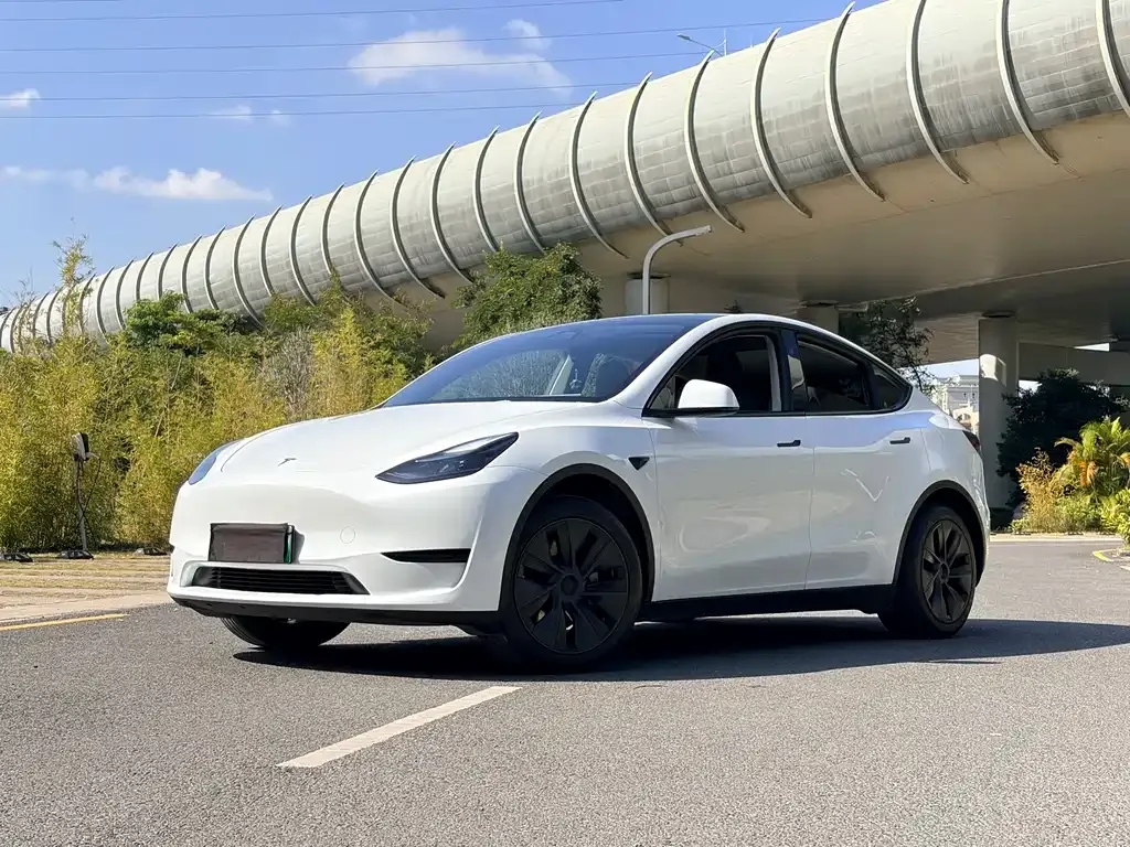 Tesla Model Y 2024 из CN, фото 1