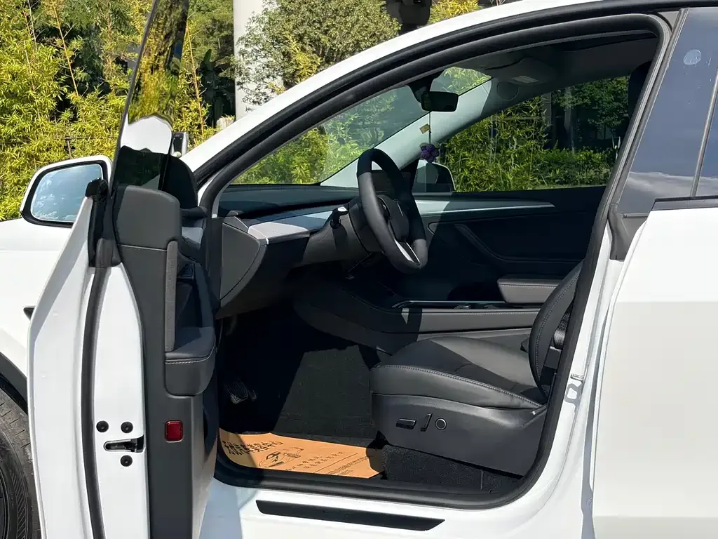 Tesla Model Y 2024 из CN, фото 7