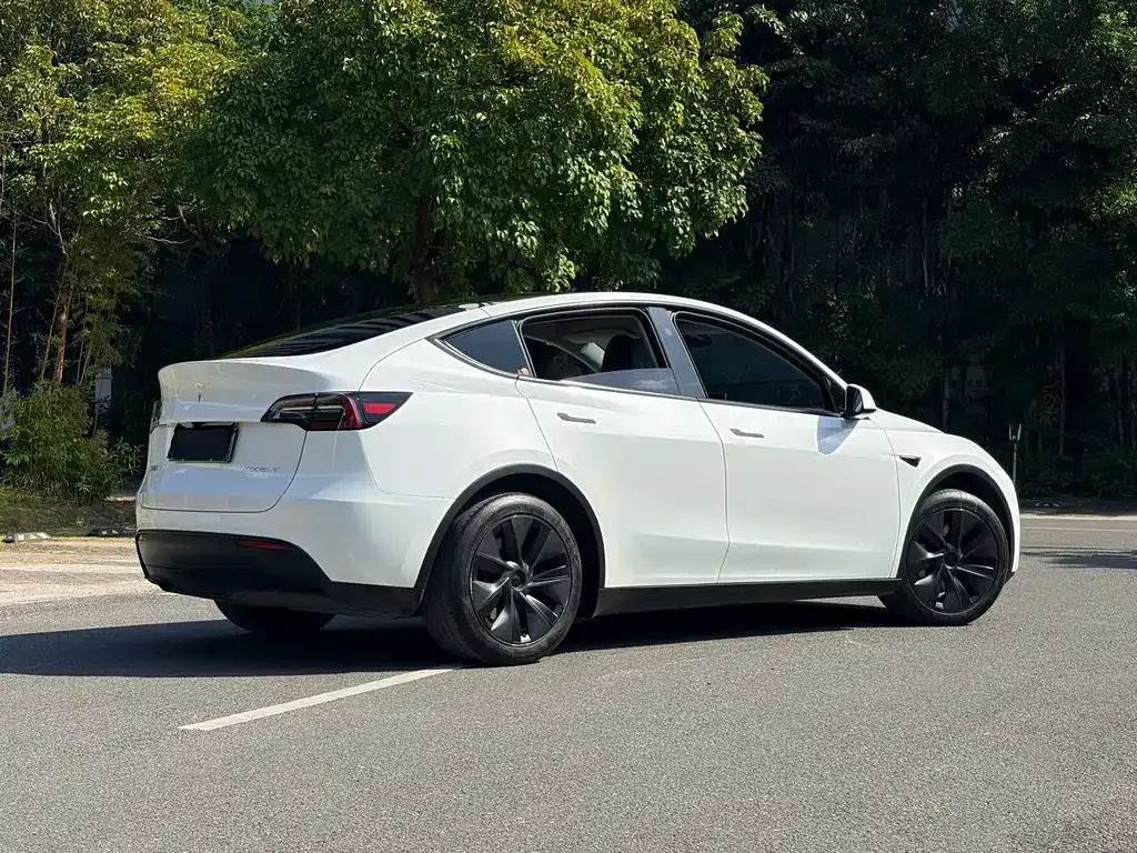 Tesla Model Y 2024 из CN, фото 10