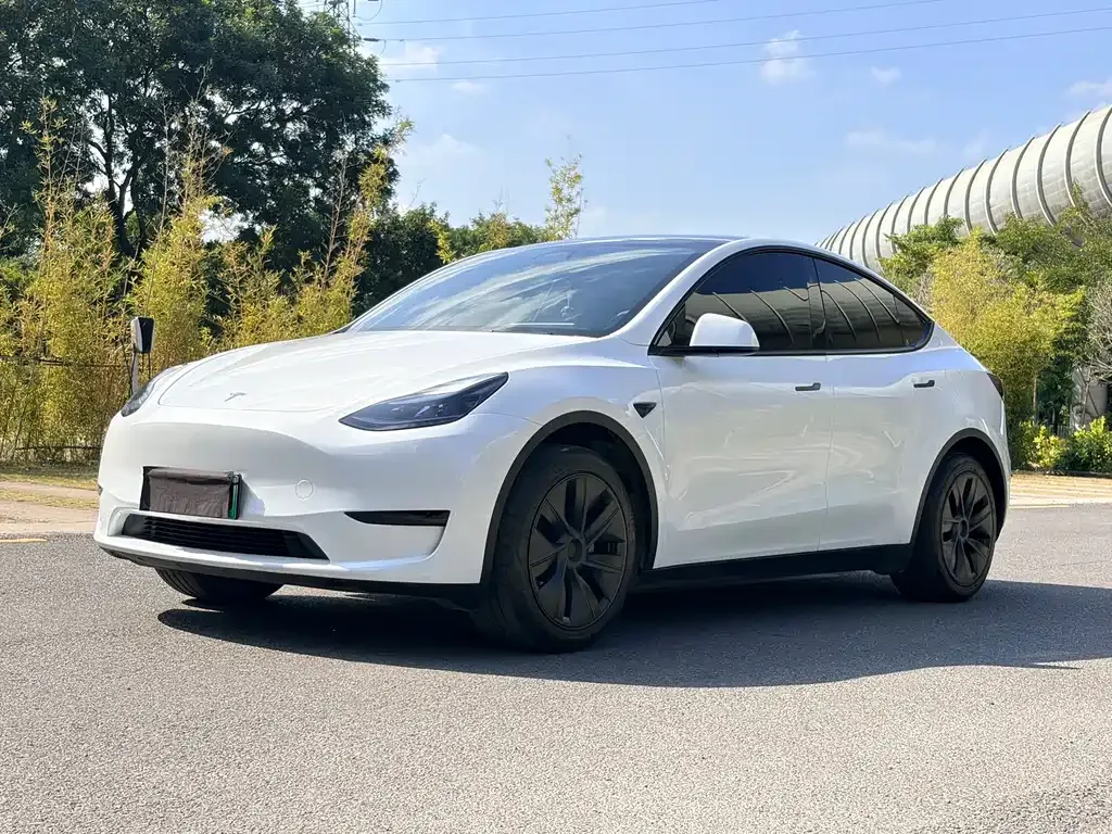 Tesla Model Y 2024 из CN, фото 6