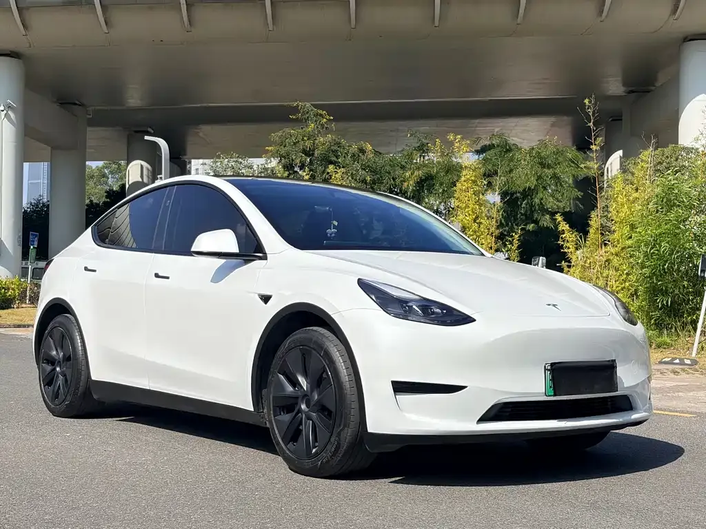 Tesla Model Y 2024 из CN, фото 3