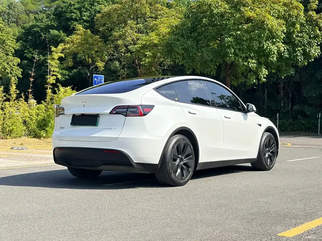 Tesla Model Y 2024 из CN, фото 9