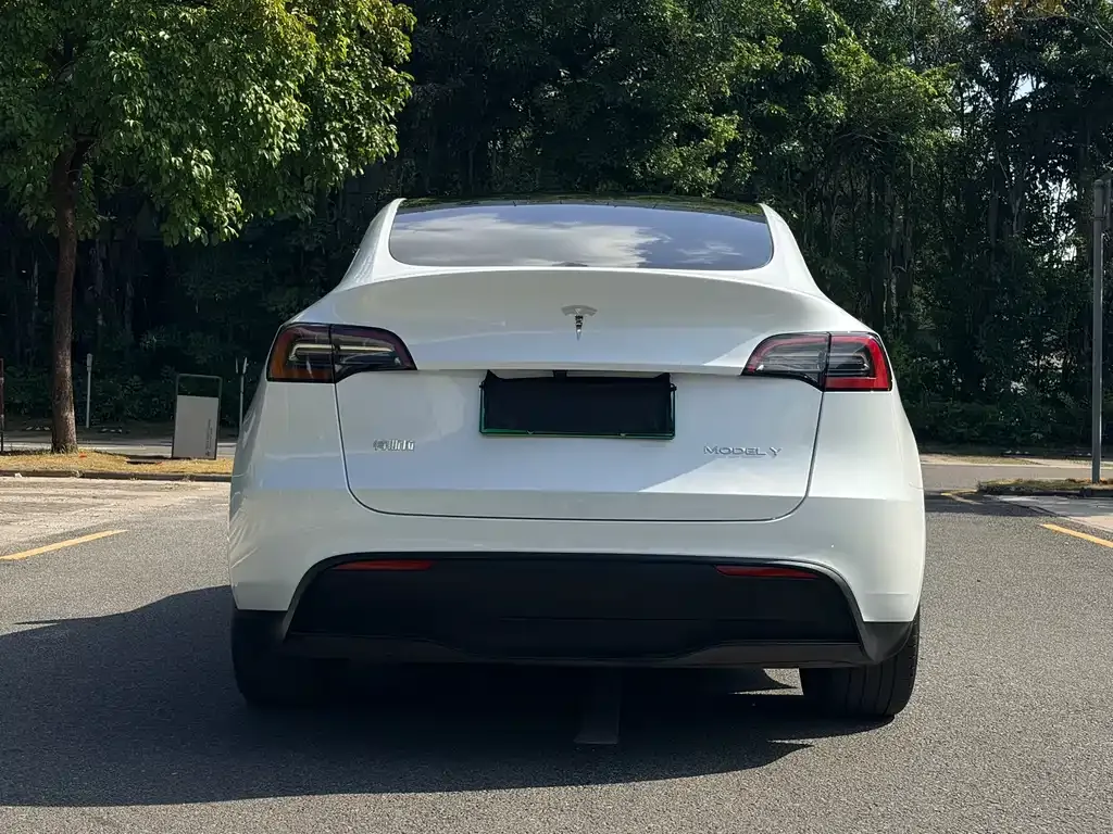 Tesla Model Y 2024 из CN, фото 5