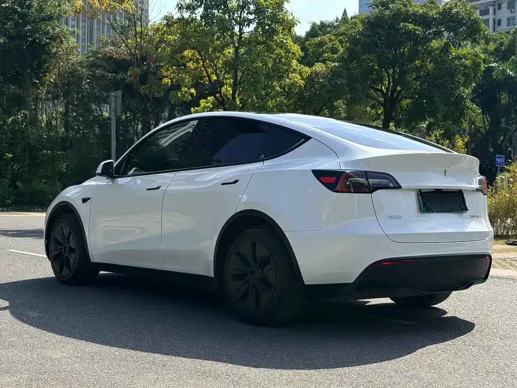 Tesla Model Y 2024 из CN, фото 4