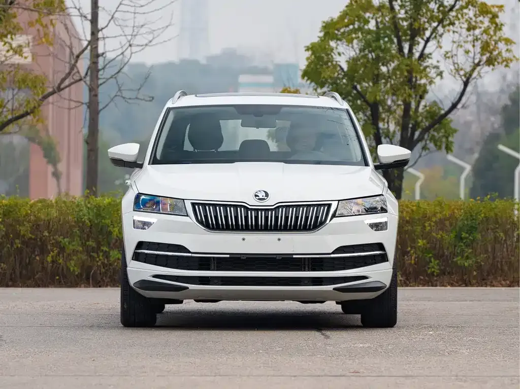 Skoda Karoq — фото 6