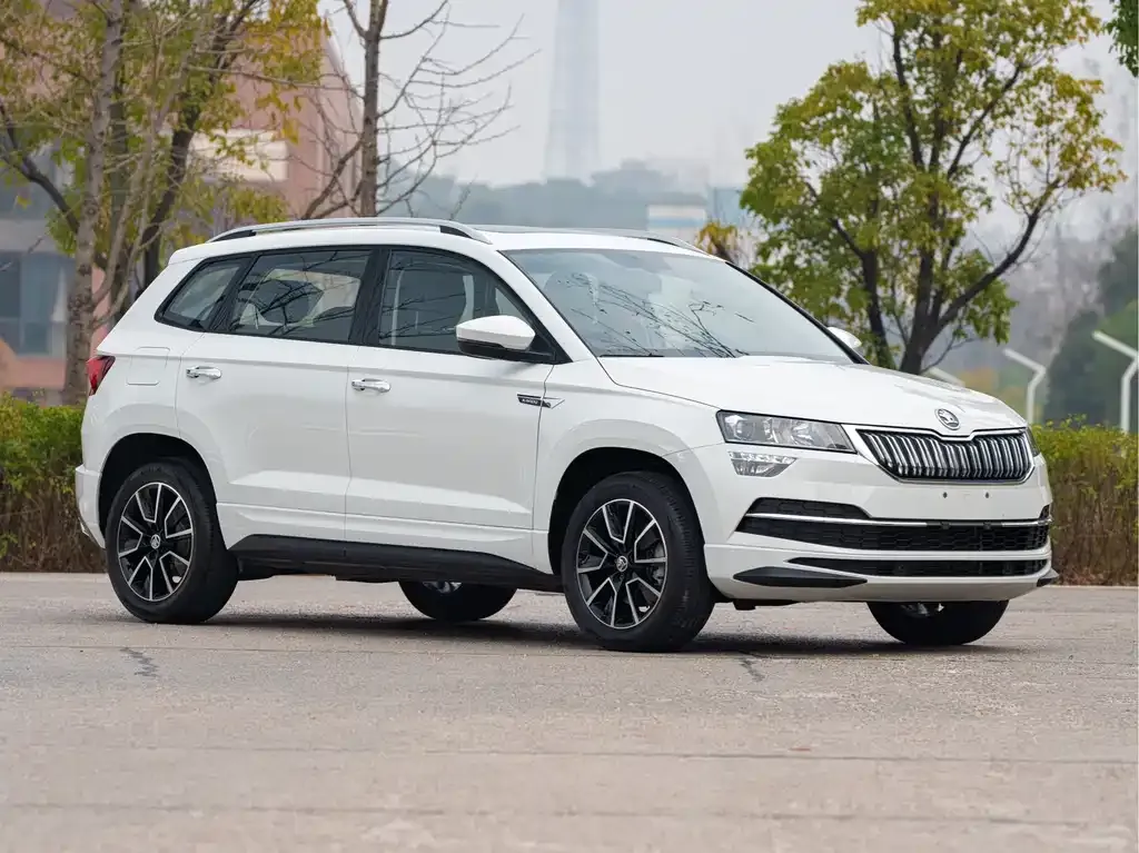 Skoda Karoq — фото 10