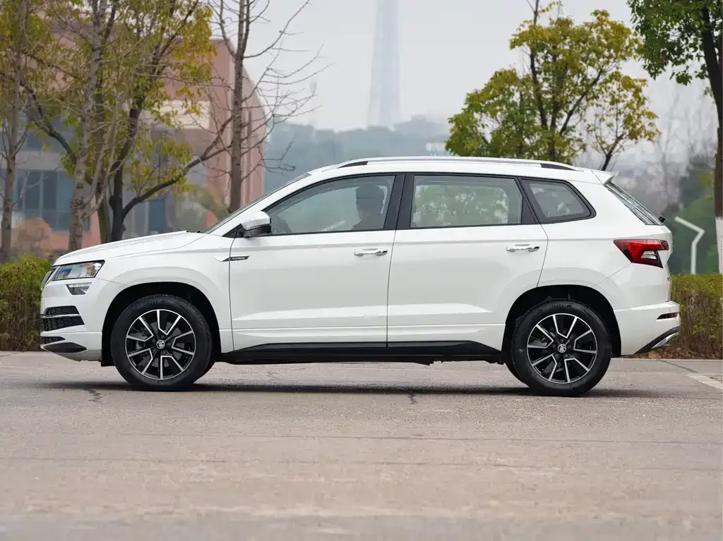 Skoda Karoq — фото 7