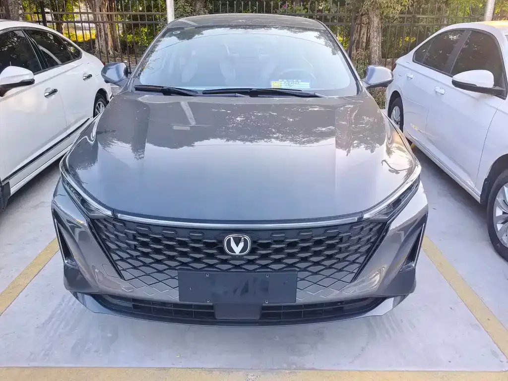 Changan Ruicheng PLUS 2024 из CN, фото 2