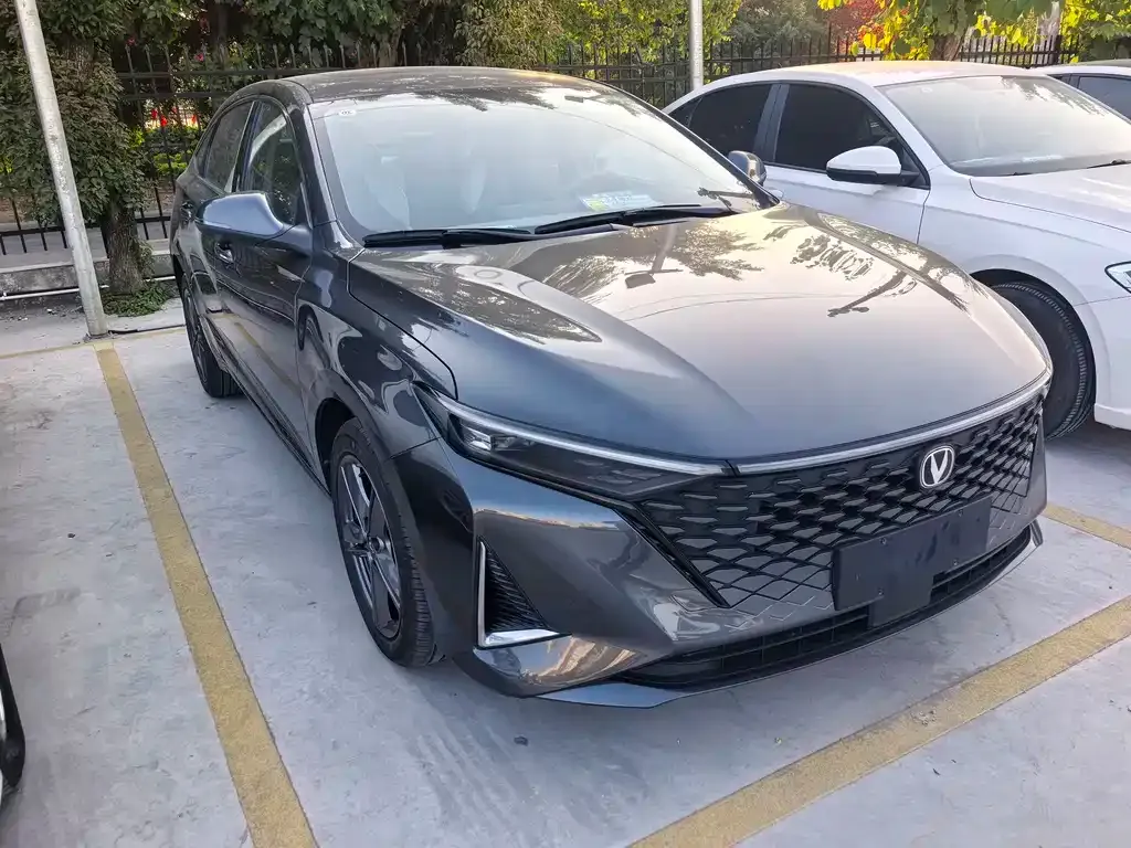 Changan Ruicheng PLUS 2024 из CN, фото 3