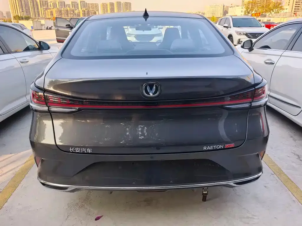 Changan Ruicheng PLUS 2024 из CN, фото 8