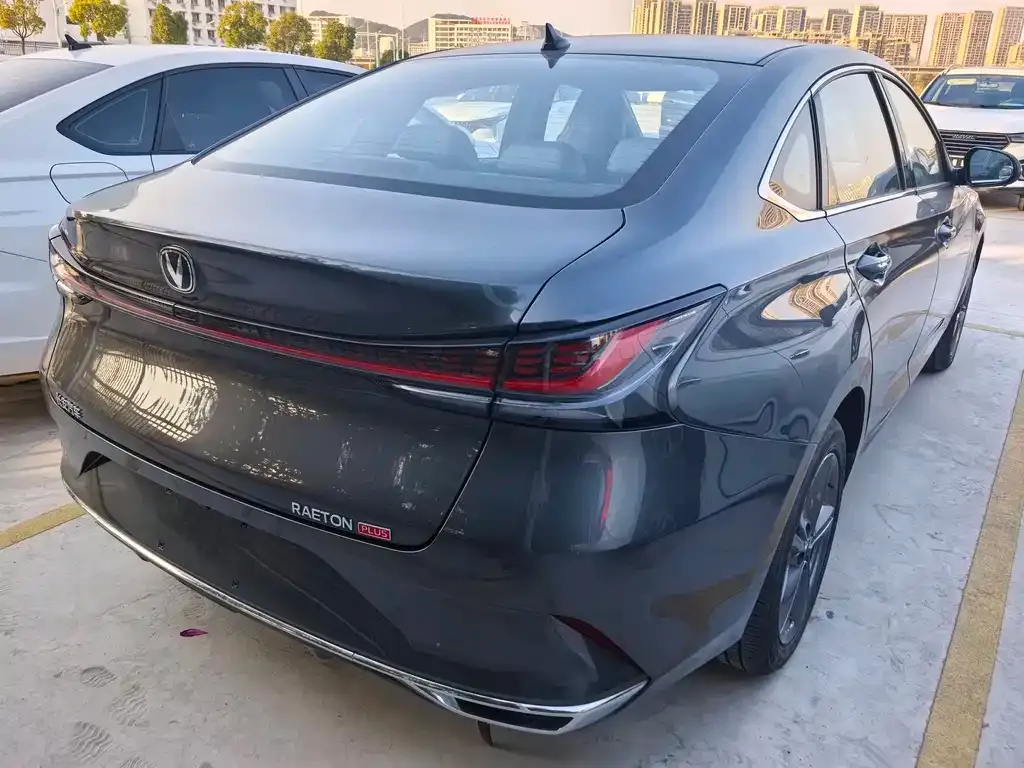 Changan Ruicheng PLUS 2024 из CN, фото 9