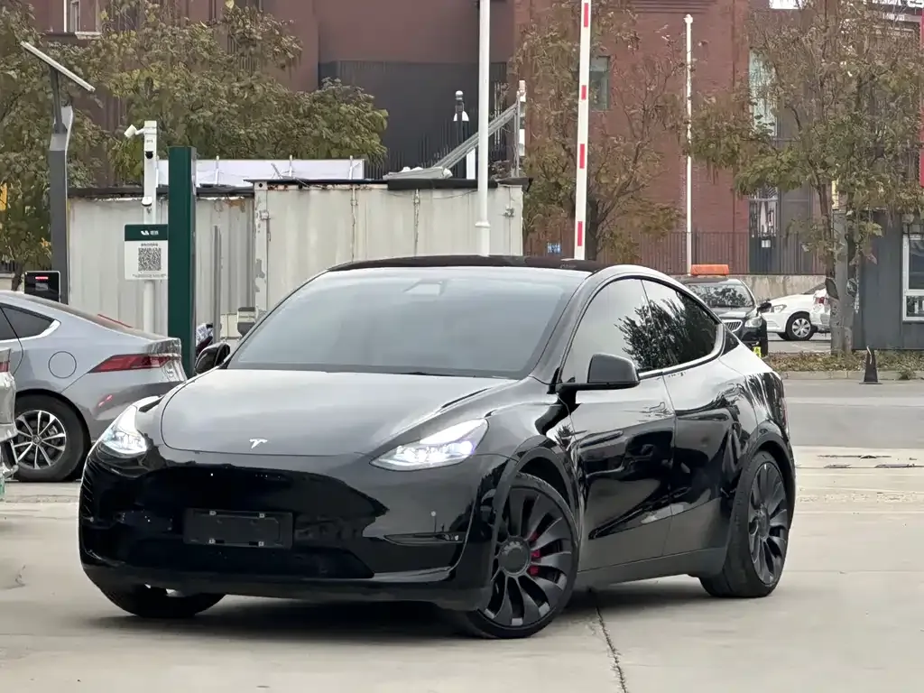 Tesla Model Y — фото 1