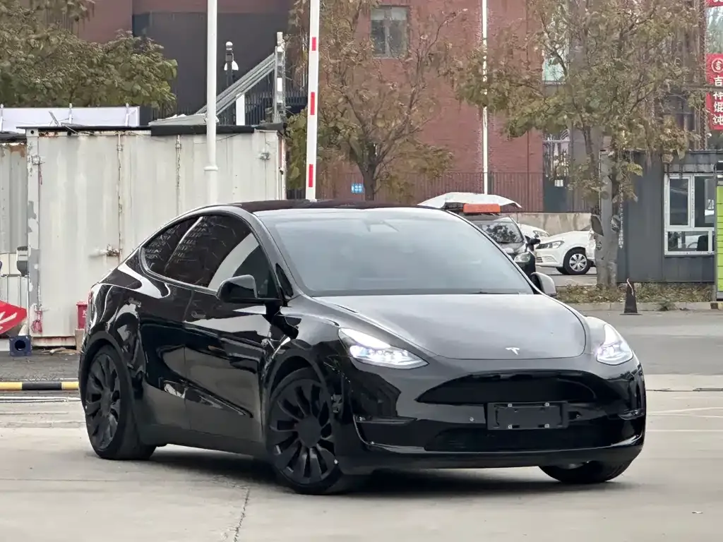 Tesla Model Y — фото 4