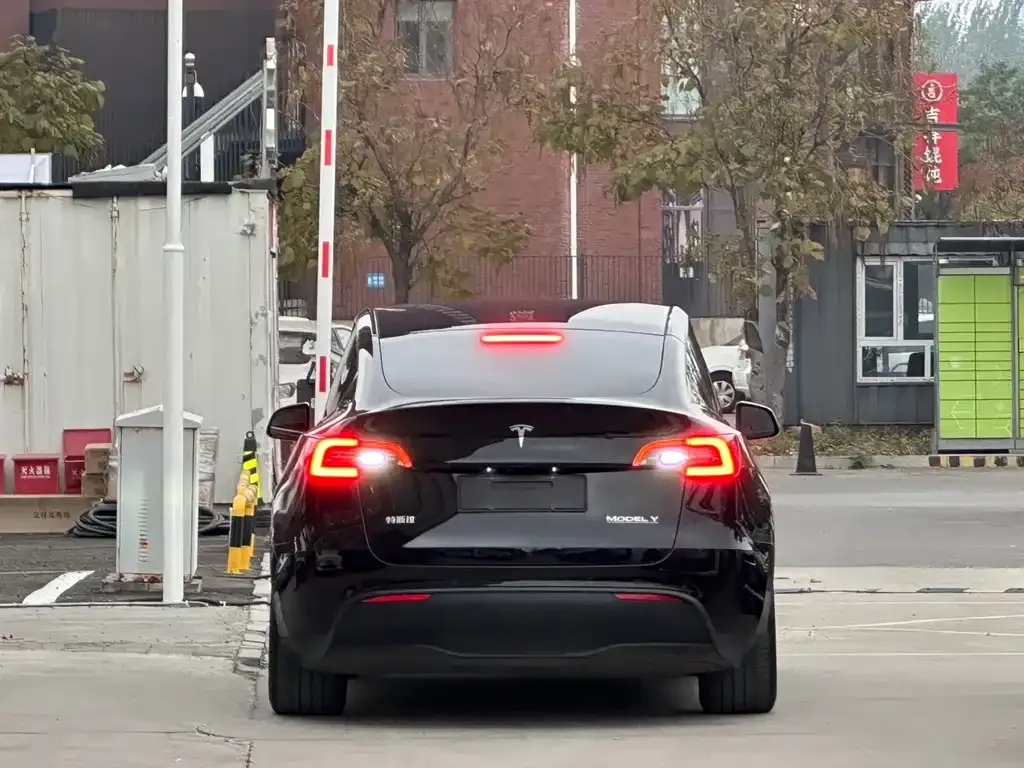 Tesla Model Y — фото 8
