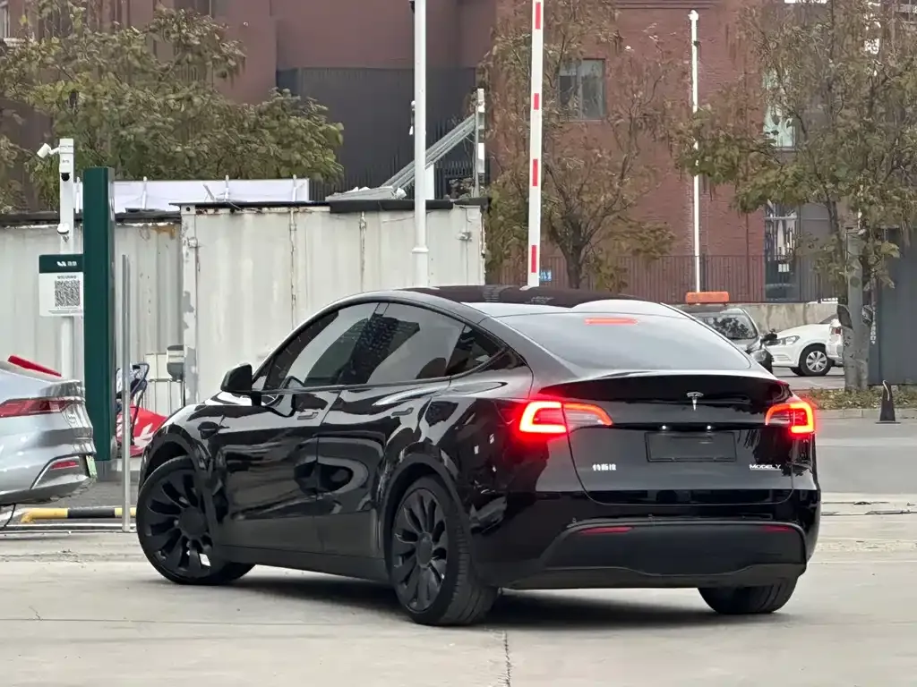 Tesla Model Y — фото 5
