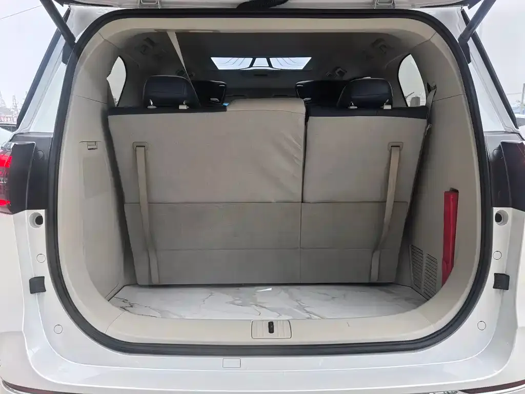 Buick GL8 2024 из CN, фото 5