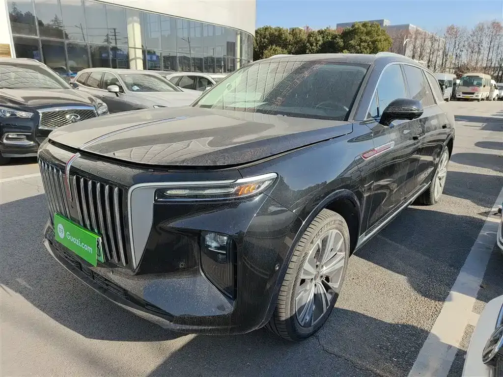 Hongqi E-HS9 2023 из CN, фото 1