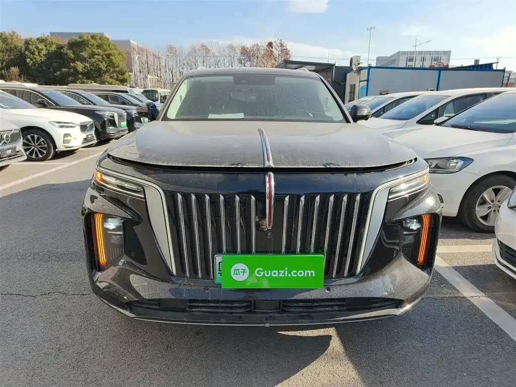 Hongqi E-HS9 2023 из CN, фото 3