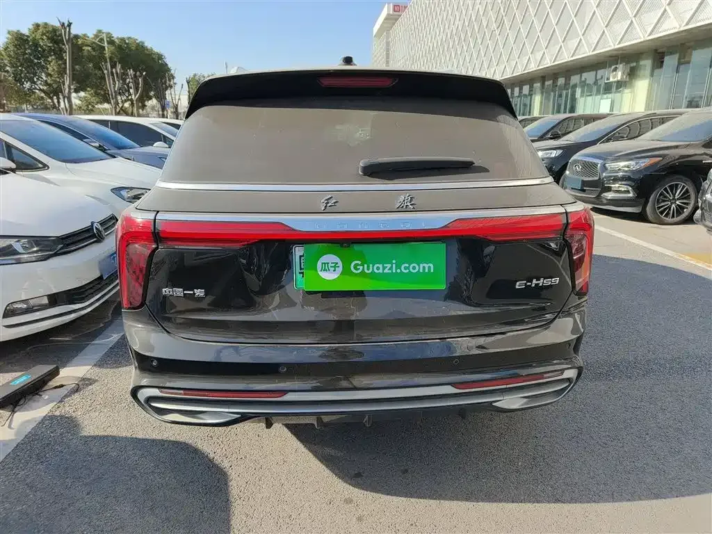 Hongqi E-HS9 2023 из CN, фото 7