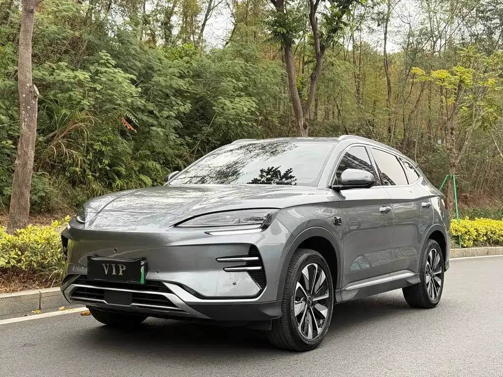 BYD PLUS New Energy — фото 1