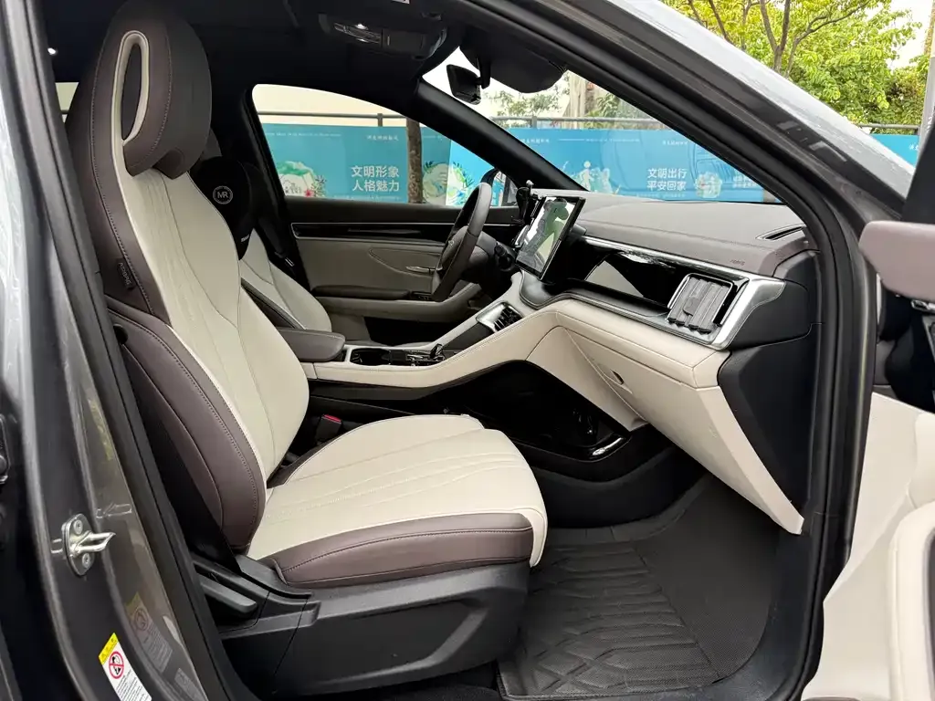 BYD PLUS New Energy — фото 2