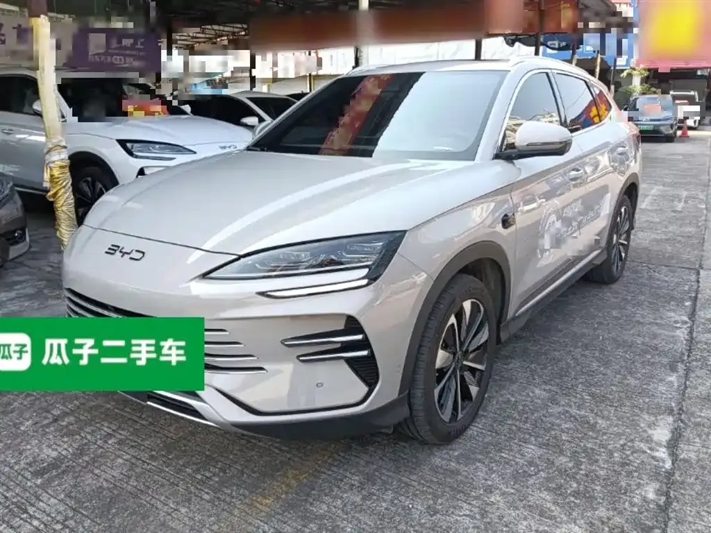 BYD PLUS New Energy 2025 из CN, фото 2