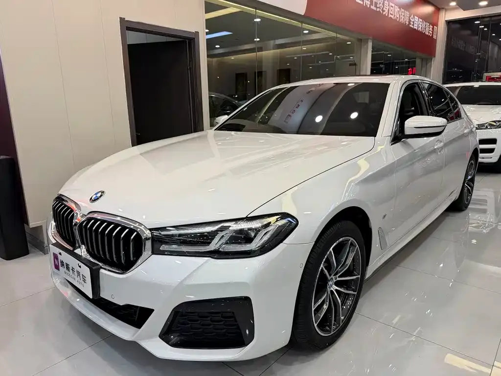 BMW 5 Series 2021 из CN, фото 1