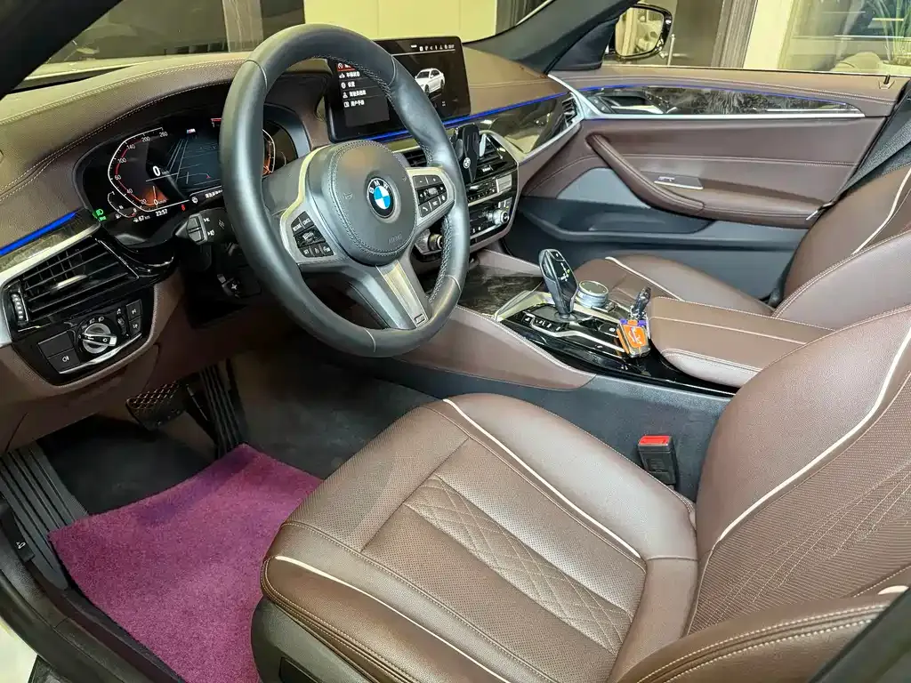 BMW 5 Series 2021 из CN, фото 9