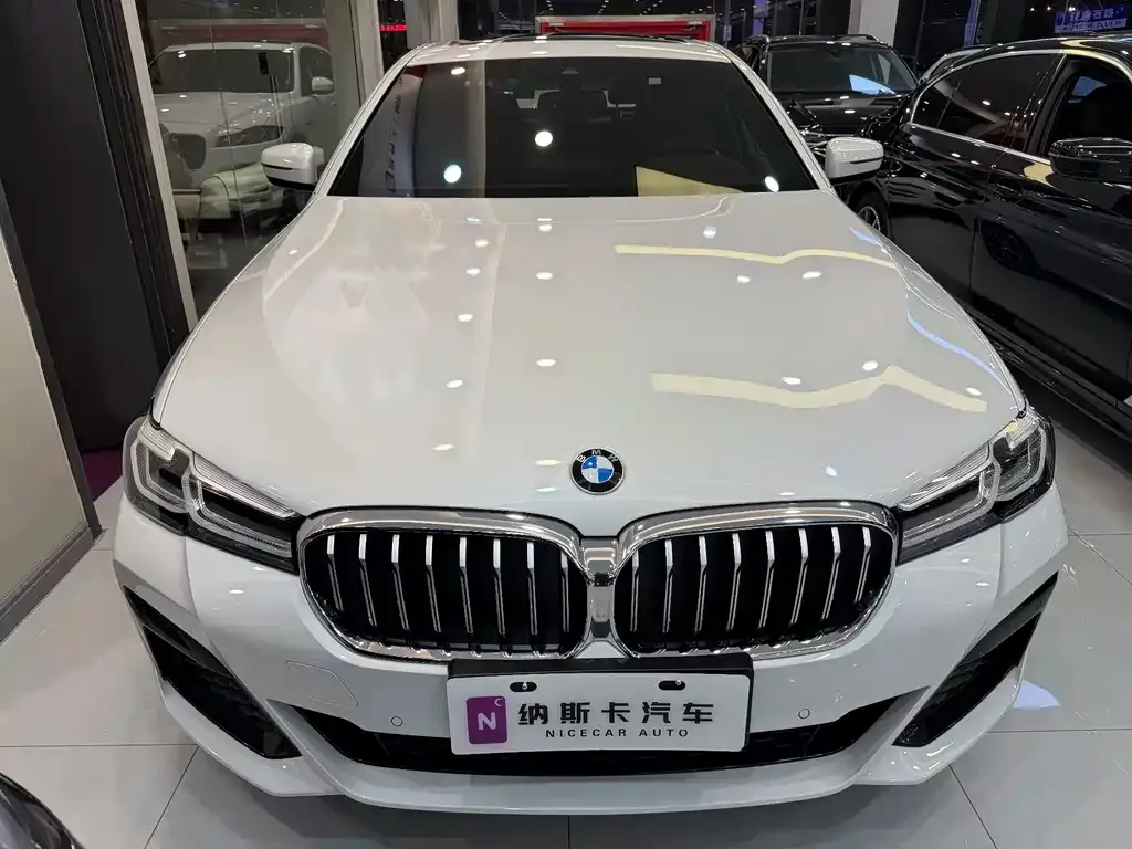 BMW 5 Series 2021 из CN, фото 4