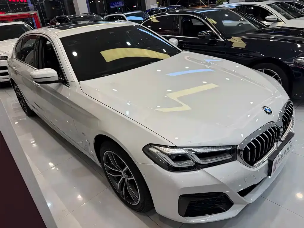 BMW 5 Series 2021 из CN, фото 5