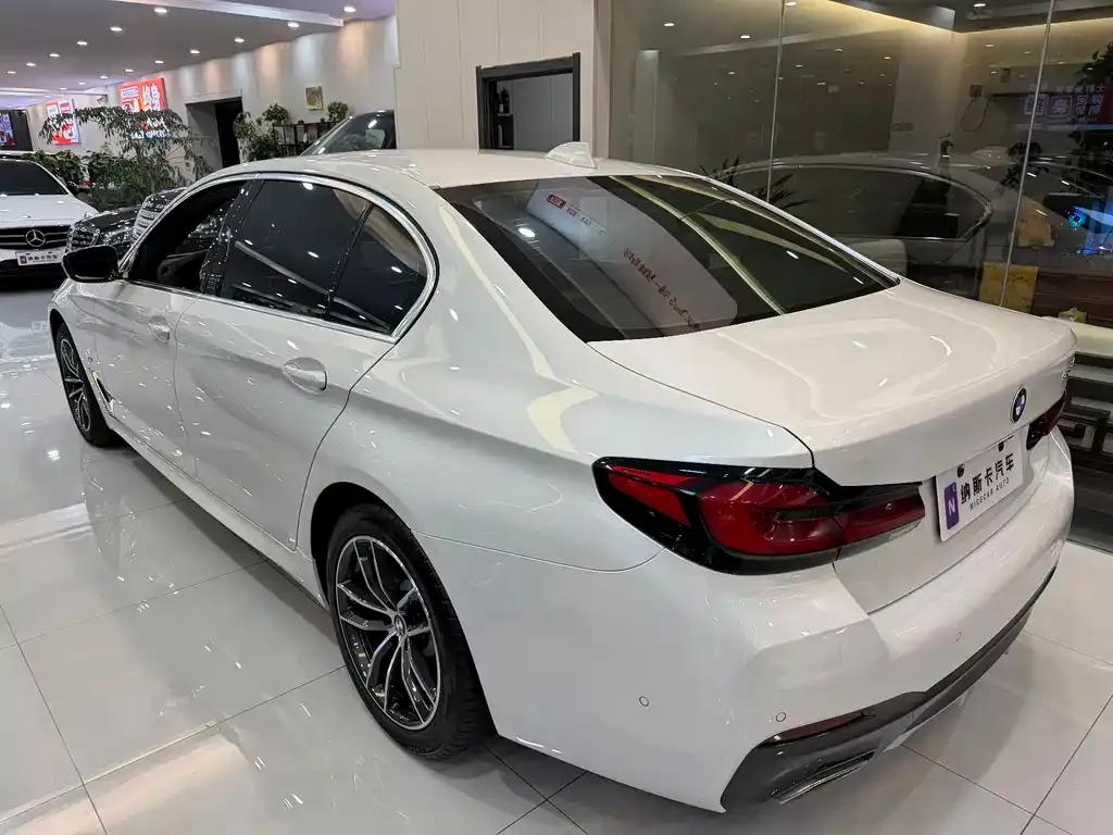 BMW 5 Series 2021 из CN, фото 2