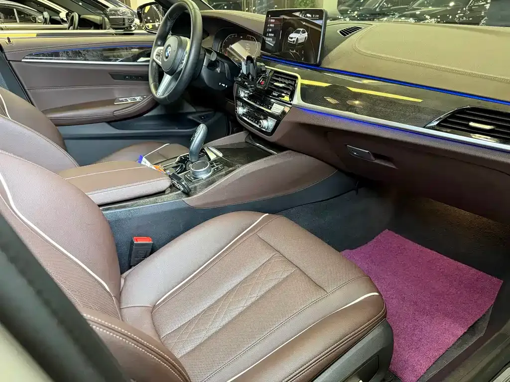 BMW 5 Series 2021 из CN, фото 8