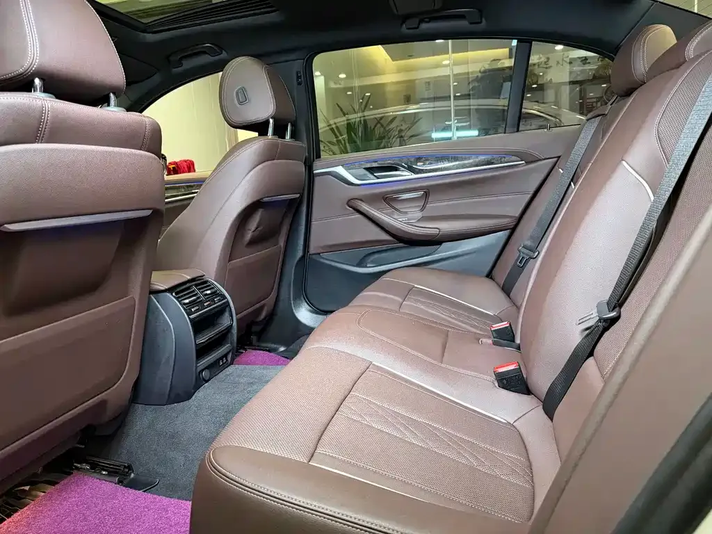 BMW 5 Series 2021 из CN, фото 6
