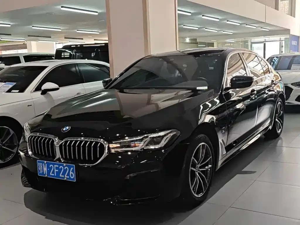 BMW 5 Series 2022 из CN, фото 1