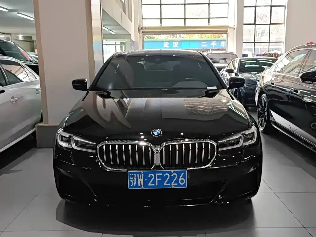 BMW 5 Series 2022 из CN, фото 2