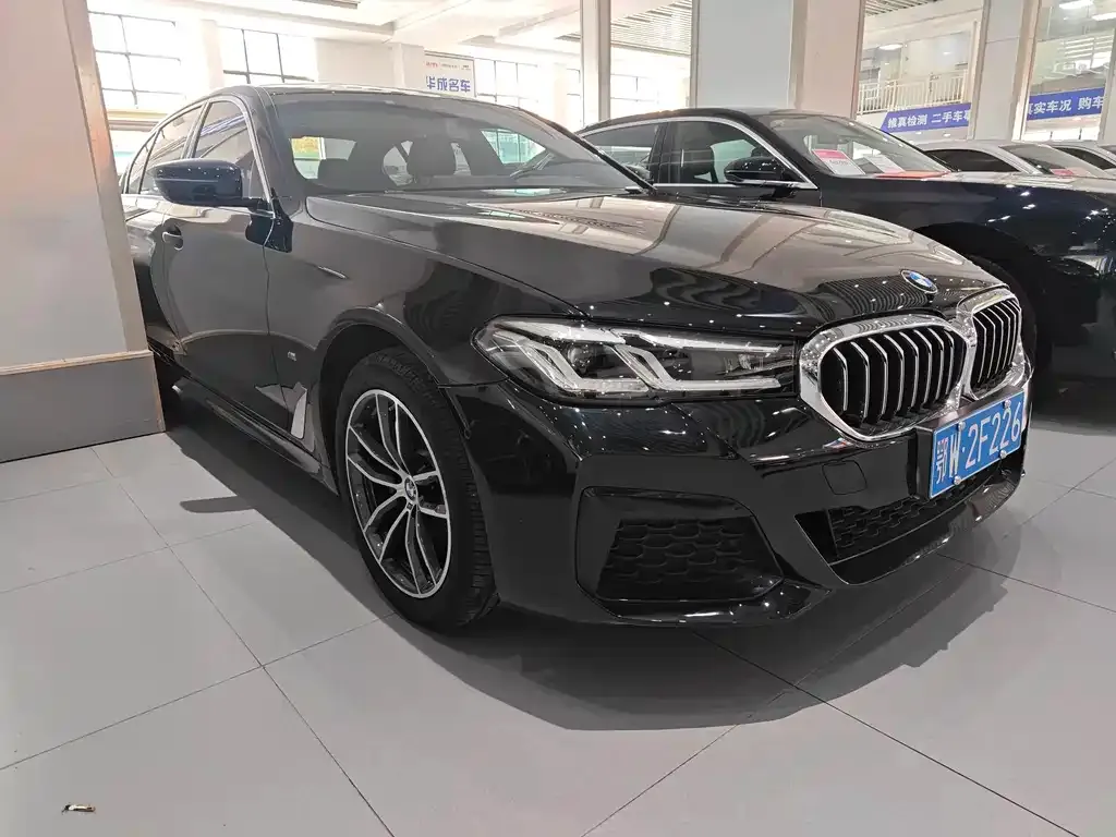 BMW 5 Series 2022 из CN, фото 5