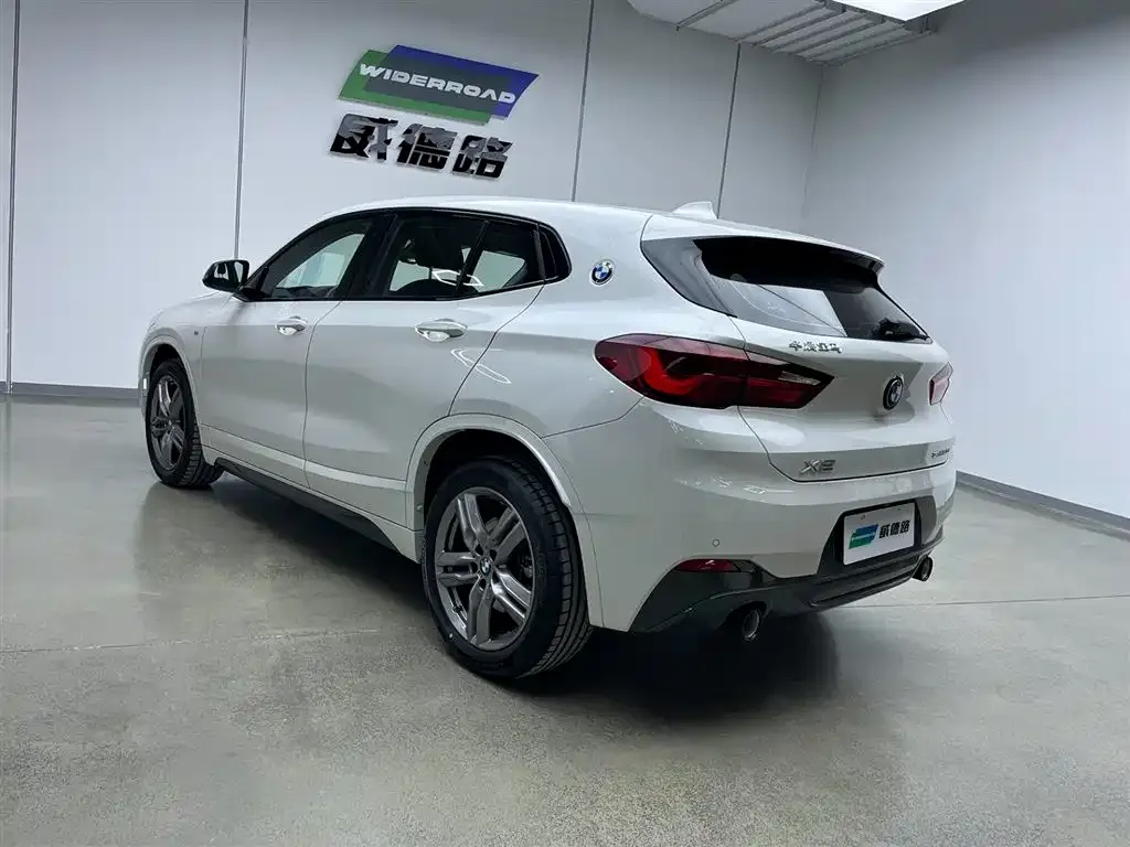 BMW X2 2023 из CN, фото 6