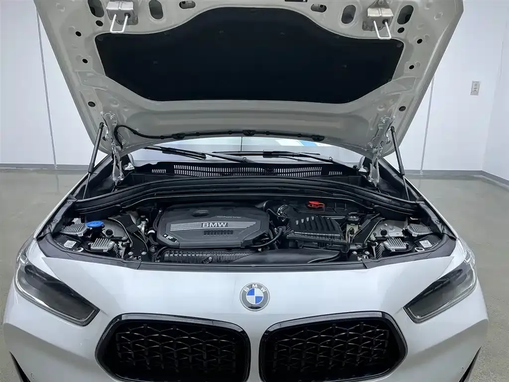 BMW X2 2023 из CN, фото 9