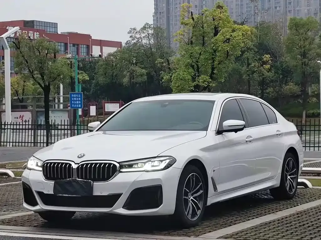 BMW 5 Series 2021 из CN, фото 1