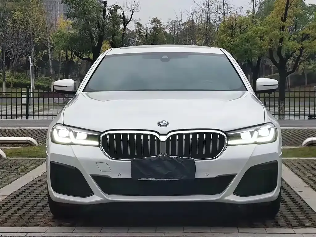 BMW 5 Series 2021 из CN, фото 3